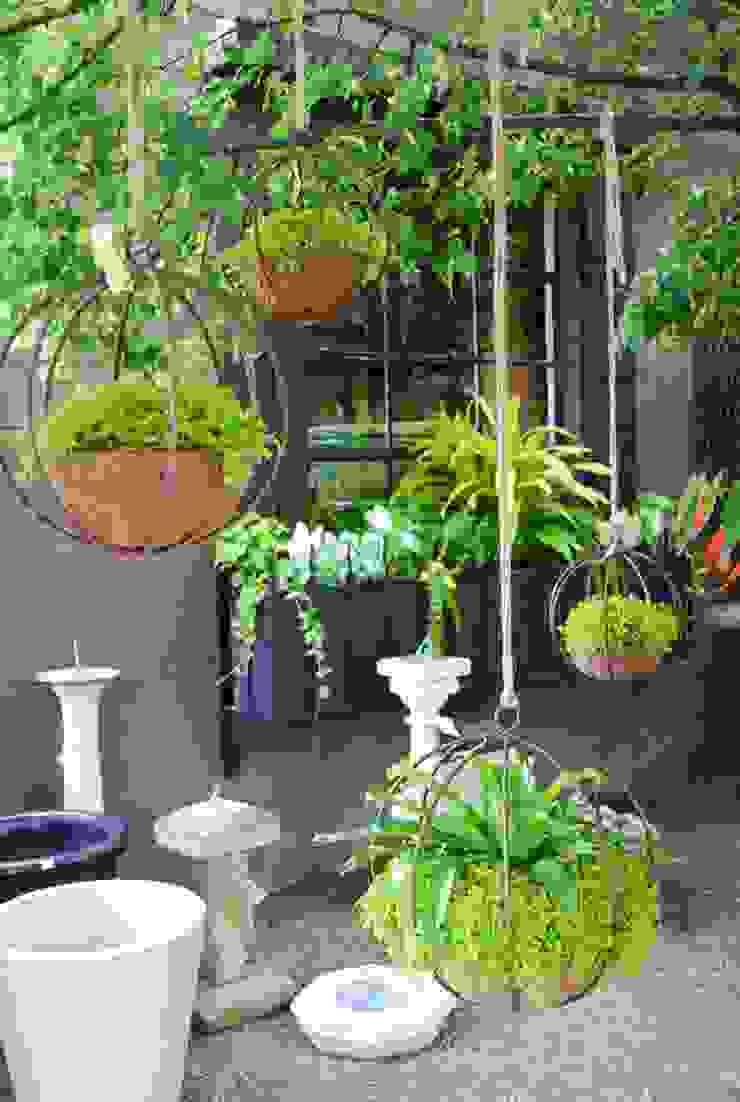 Interior de estudio, jardines verticales jardines verticales Moderner Garten Pflanzen und Blumen