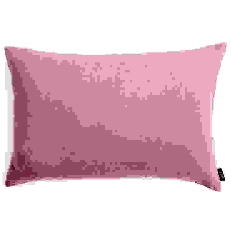 Fiolini Sala de estarAcessórios e Decoração