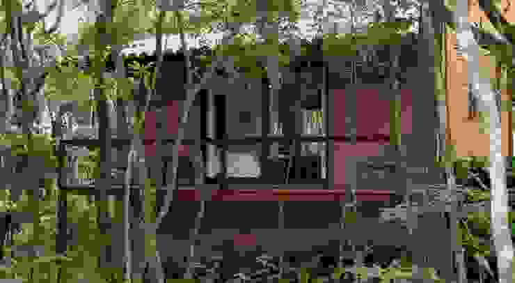 Jardins Naturais Junia Lobo Paisagismo Varandas, alpendres e terraços campestres