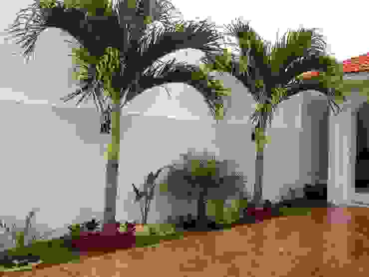 recurso Negar Perforar Jardines con palmeras: ideas y ejemplos | homify