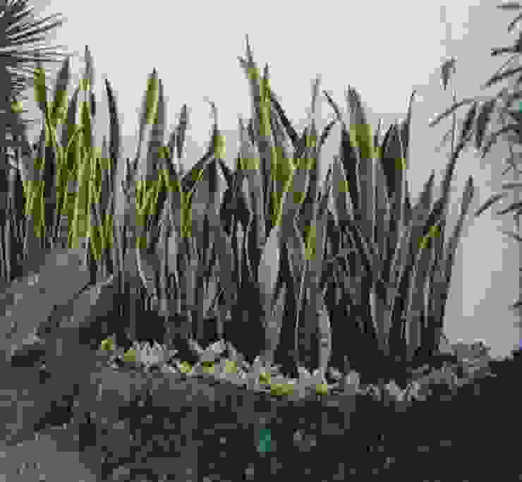 Jardins Naturais Junia Lobo Paisagismo Jardins campestres