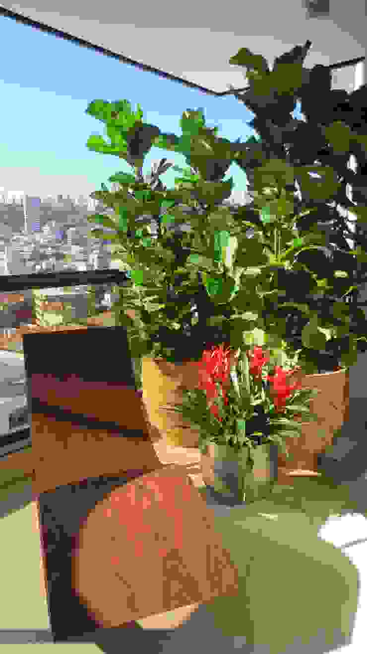 Jardins Naturais Junia Lobo Paisagismo Jardins de inverno campestres