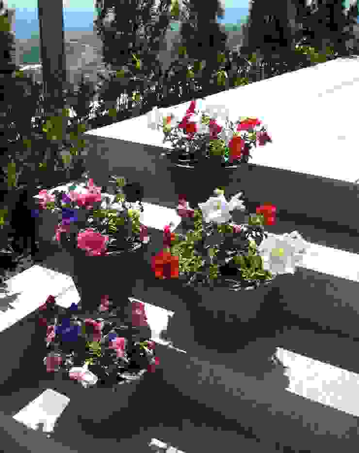 Jardins Naturais Junia Lobo Paisagismo Piscinas campestres