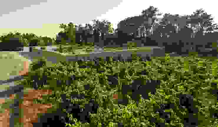 Hill Cork House por CONTAMINAR