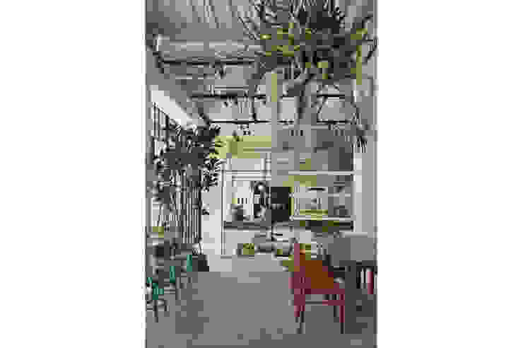 Tenoha Daikanyama Paletas Si Empre Cafe Homify