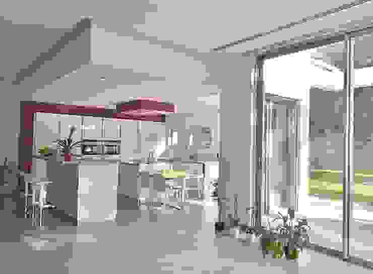 Cuisine contemporaine Sarah Archi In' Cuisine moderne Rose Plante,Immeuble,Meubles,Tableau,Plante d&#39;appartement,Pot de fleur,Fenêtre,Bois,Design d&#39;intérieur,Étage