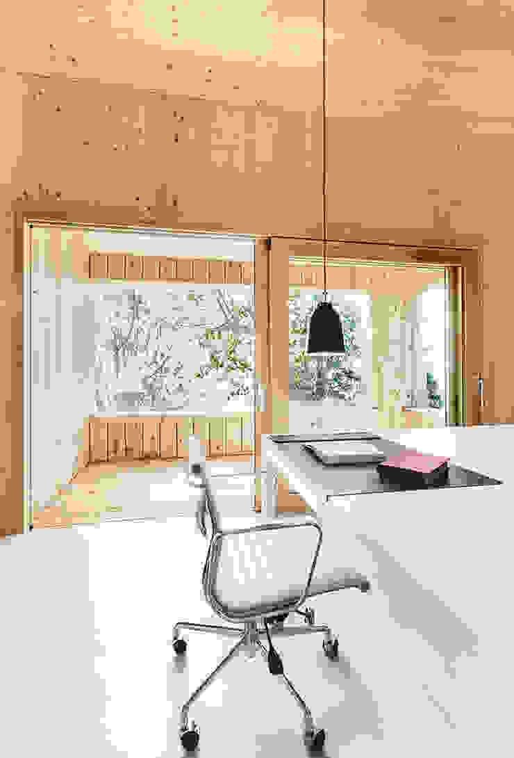 dom arquitectura Estudios y oficinas modernos