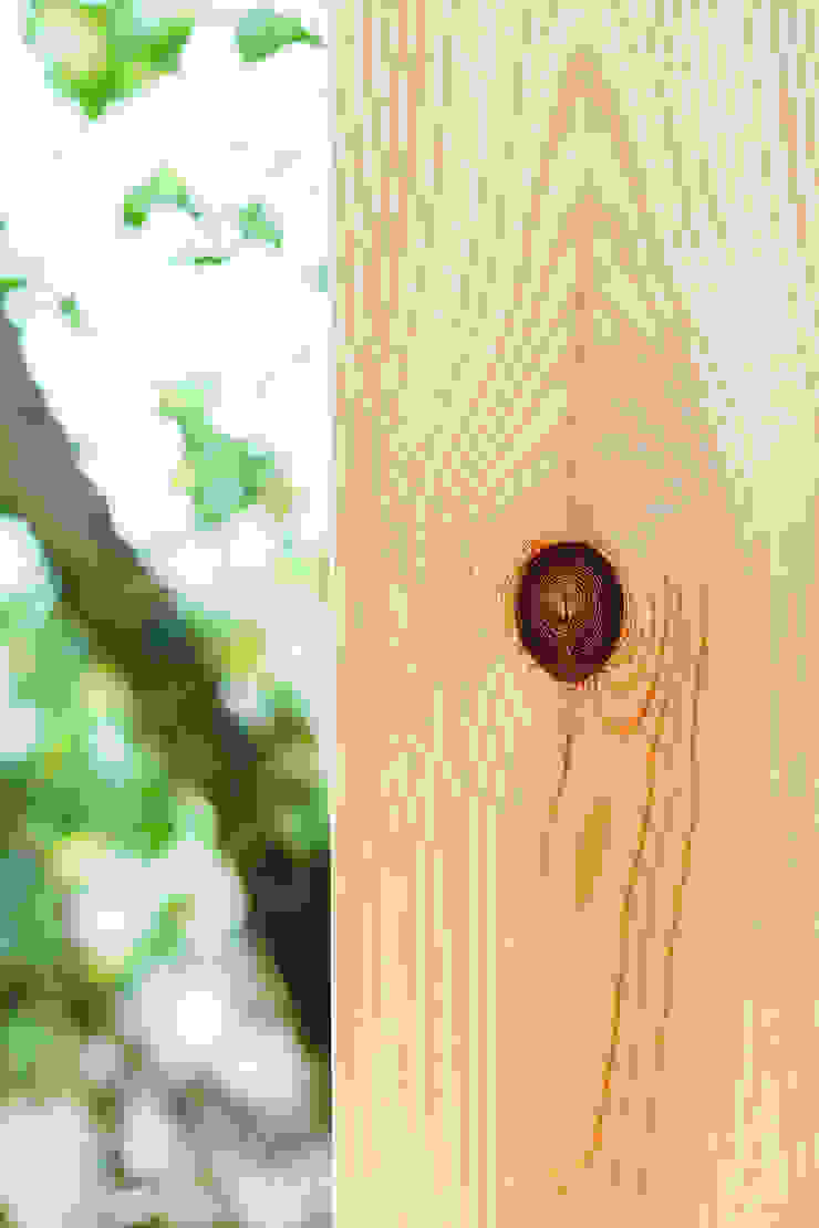 dom arquitectura Casas modernas: Ideas, imágenes y decoración