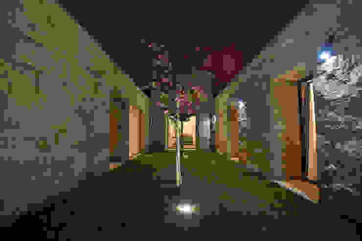 RDLM Arquitectos associados Jardines de estilo moderno