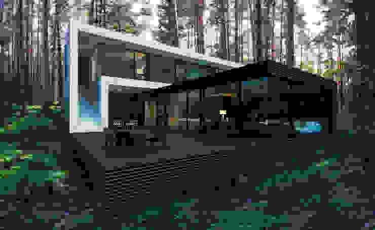 ALEXANDER ZHIDKOV ARCHITECT Minimalist houses