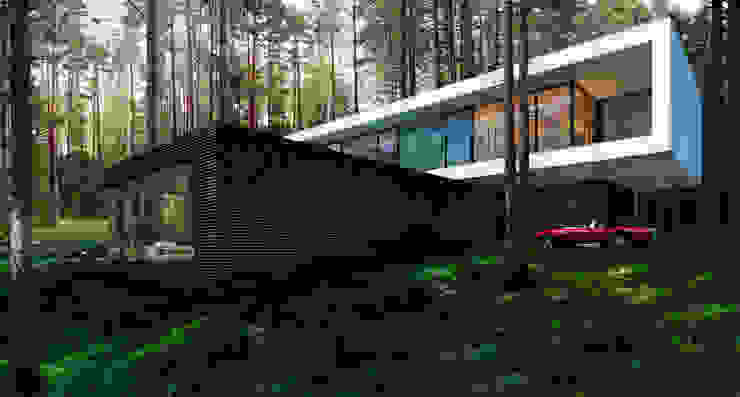 ALEXANDER ZHIDKOV ARCHITECT Minimalist houses