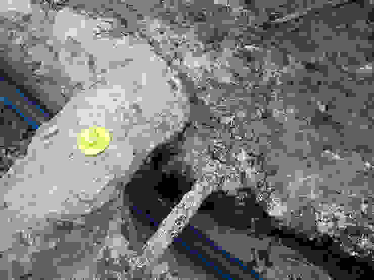 Bisaccia Quadrifoglio Costruzioni Ristrutturazione Edilizia