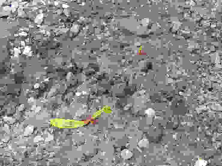 Bisaccia Quadrifoglio Costruzioni Ristrutturazione Edilizia