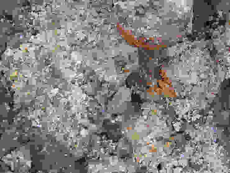 Bisaccia Quadrifoglio Costruzioni Ristrutturazione Edilizia