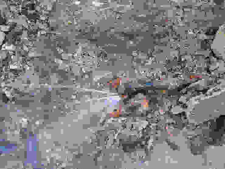 Bisaccia Quadrifoglio Costruzioni Ristrutturazione Edilizia