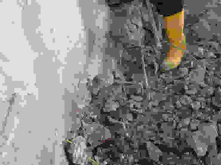 Bisaccia Quadrifoglio Costruzioni Ristrutturazione Edilizia