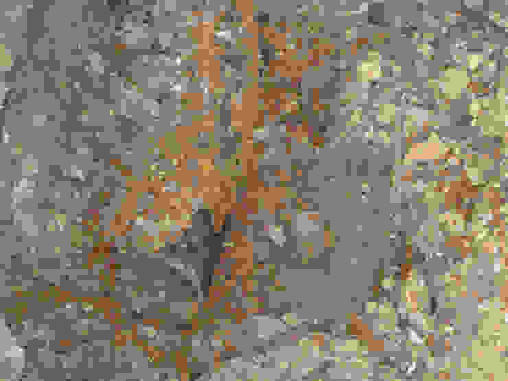 Bisaccia Quadrifoglio Costruzioni Ristrutturazione Edilizia