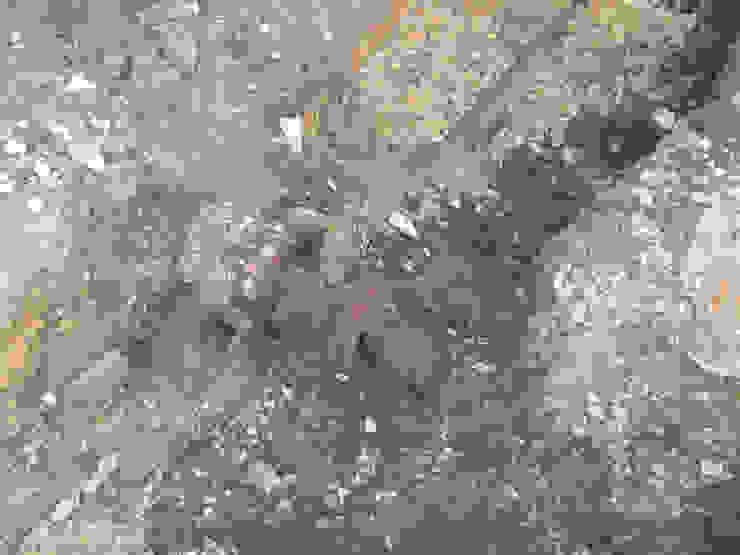 Bisaccia Quadrifoglio Costruzioni Ristrutturazione Edilizia