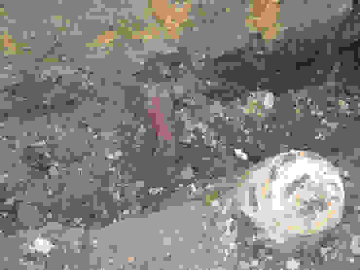 Bisaccia Quadrifoglio Costruzioni Ristrutturazione Edilizia