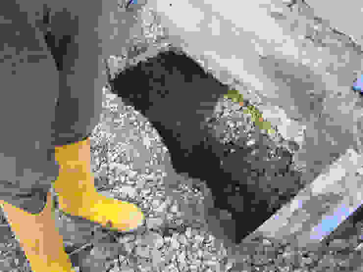 Bisaccia Quadrifoglio Costruzioni Ristrutturazione Edilizia