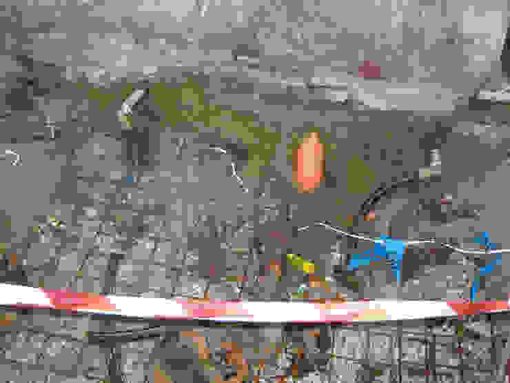Bisaccia Quadrifoglio Costruzioni Ristrutturazione Edilizia