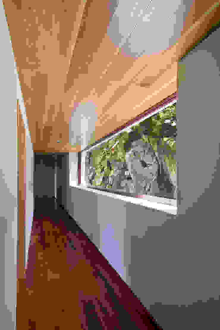 La casa en el bosque EMA Espacio Multicultural de Arquitectura Modern Corridor, Hallway and Staircase