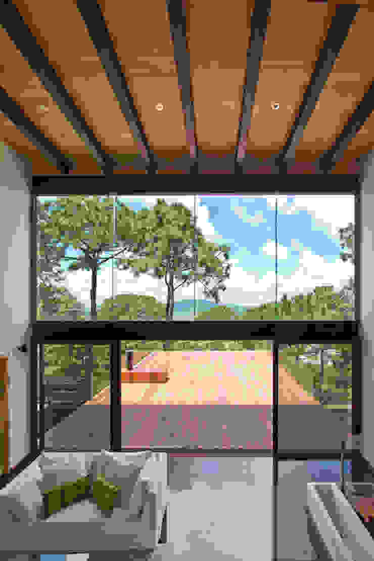 La casa en el bosque EMA Espacio Multicultural de Arquitectura Terrace