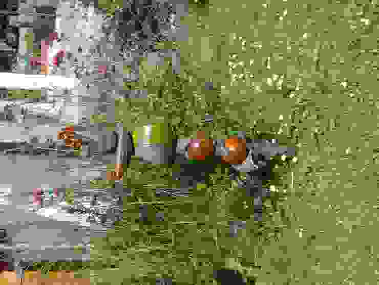 Dekoration rote_libelle Modern Garden