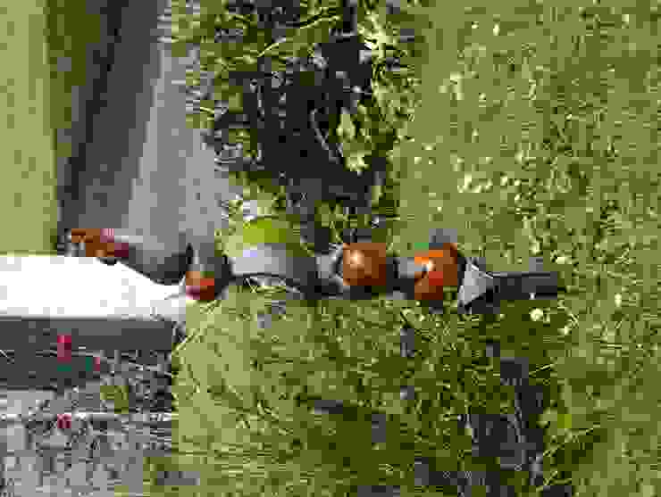 Dekoration rote_libelle Modern Garden