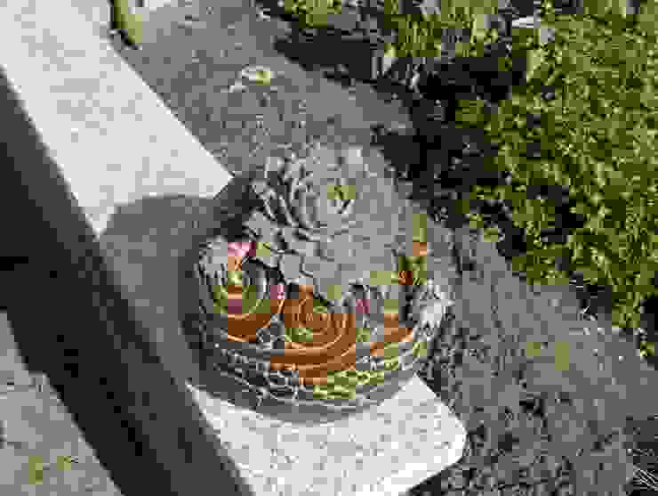 Dekoration rote_libelle Modern Garden