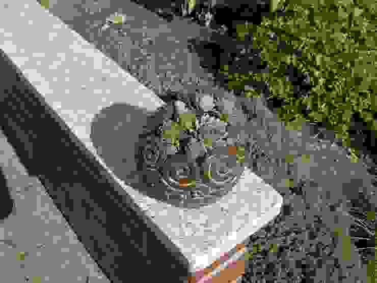 Dekoration rote_libelle Modern Garden