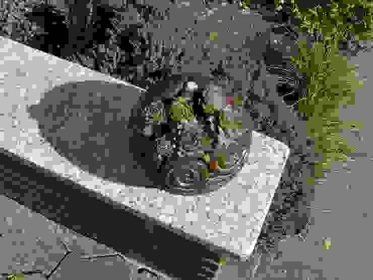 Dekoration rote_libelle Modern Garden