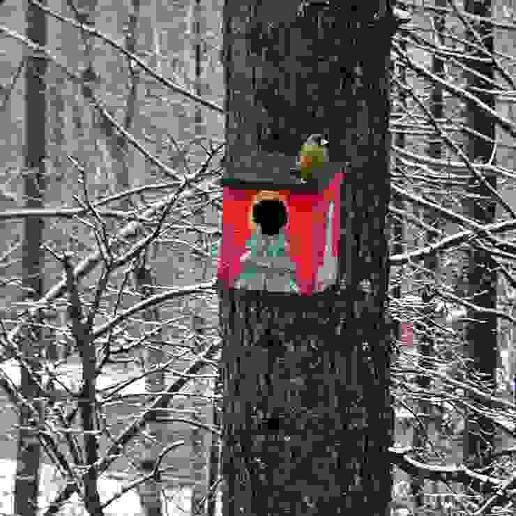 Bird House Lodge in Woods, Japan Cottage Style / コテージスタイル