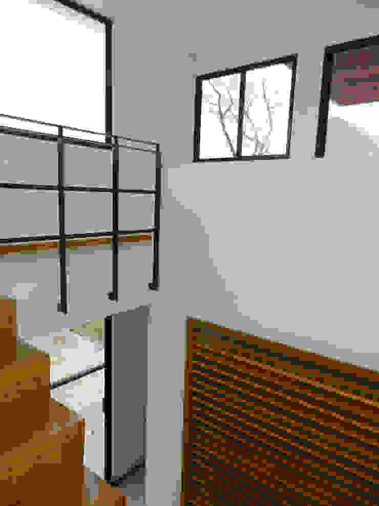ECNarquitectura Modern corridor, hallway & stairs