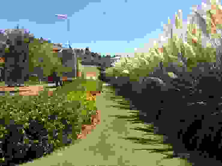 Modern style gardens by Marcia Joly Paisagismo Modern