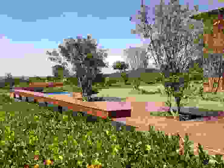 Modern style gardens by Marcia Joly Paisagismo Modern