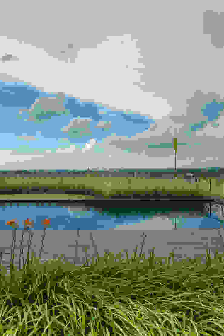 Modern style gardens by Marcia Joly Paisagismo Modern