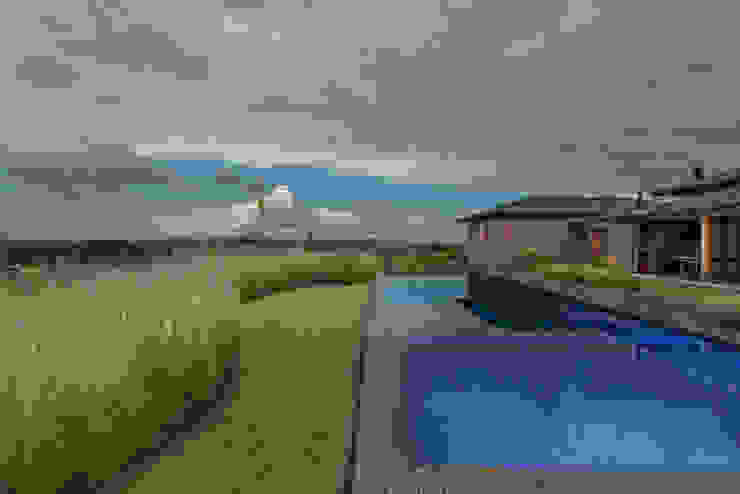 Modern style gardens by Marcia Joly Paisagismo Modern