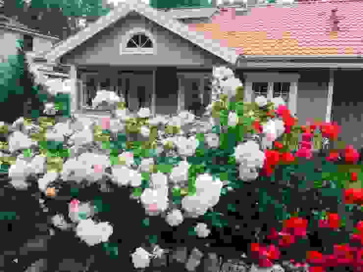 Casas campestres por miacasa Campestre Madeira Acabamento em madeira