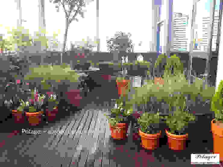 성수동 사무실 베란다 정원 디자인 및 시공 [Office Balcony Garden], Potager Potager 클래식스타일 발코니, 베란다 & 테라스 녹색 꽃,식물,재산,화분,관엽식물,목재,창문,하늘,인테리어 디자인,바닥
