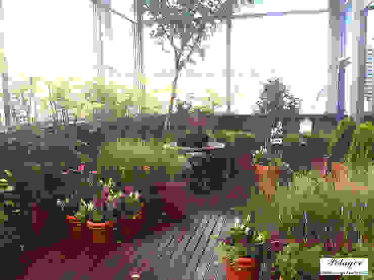 Potager Klasyczny balkon, taras i weranda Zielony