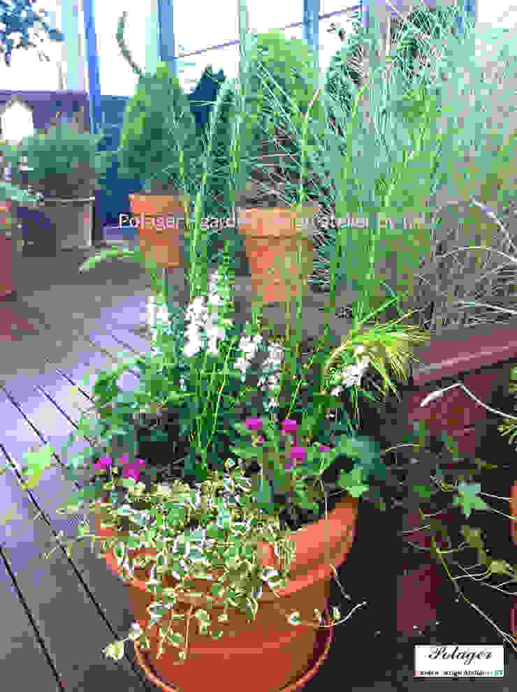 Potager Klasyczny balkon, taras i weranda Biały