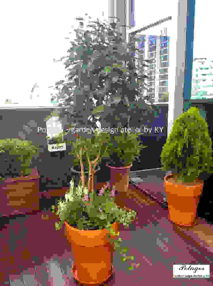 Potager Klasyczny balkon, taras i weranda Zielony