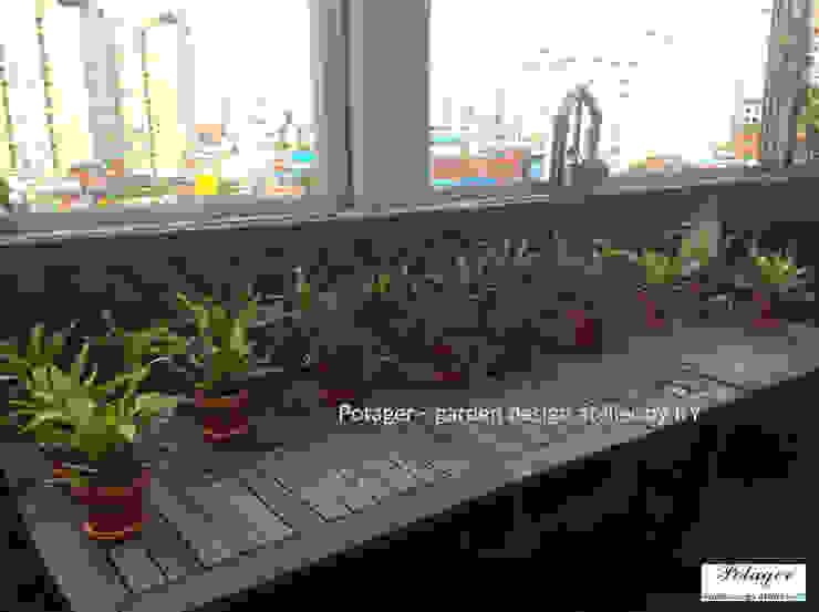 성수동 사무실 베란다 정원 디자인 및 시공 [Office Balcony Garden], Potager Potager 클래식스타일 발코니, 베란다 & 테라스 녹색