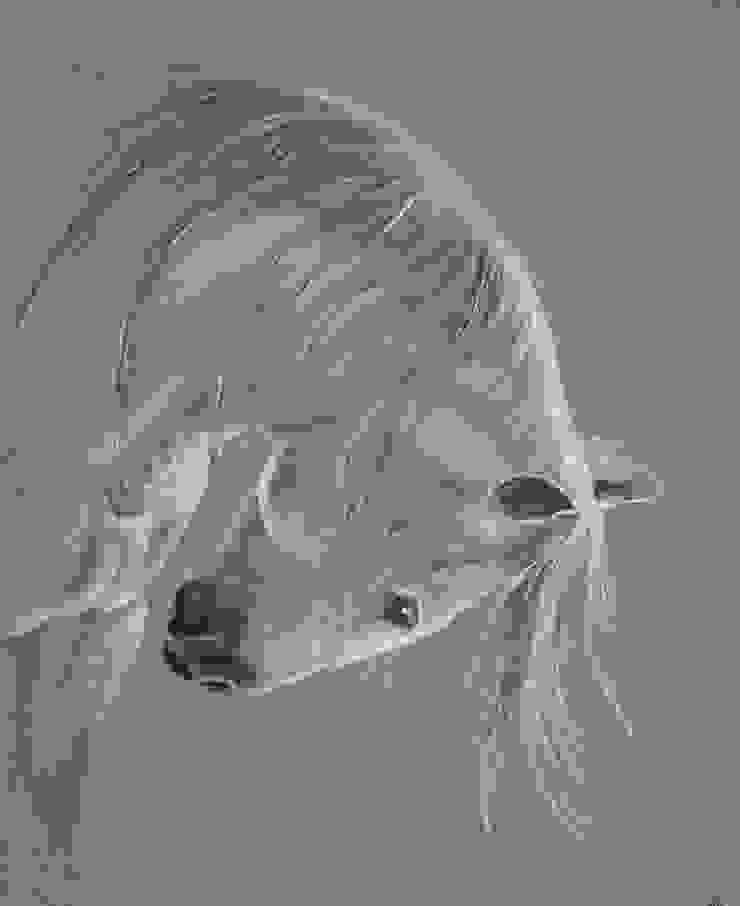 Tableaux Animaliers Les Chevaux By Odile Laresche Artiste Peintre Animalier Homify