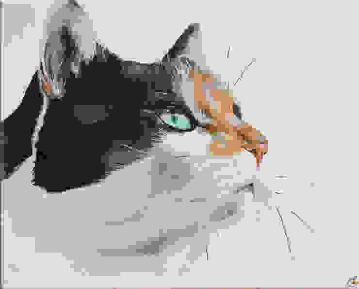 Tableaux Animaliers Les Chats Homify Tableaux Animaliers Les Chats Homify