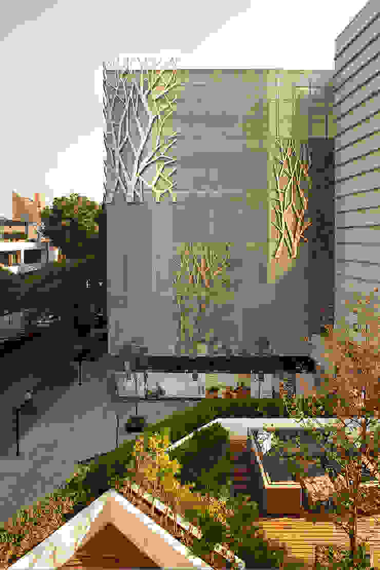 Hansi Arquitectura Modern Houses