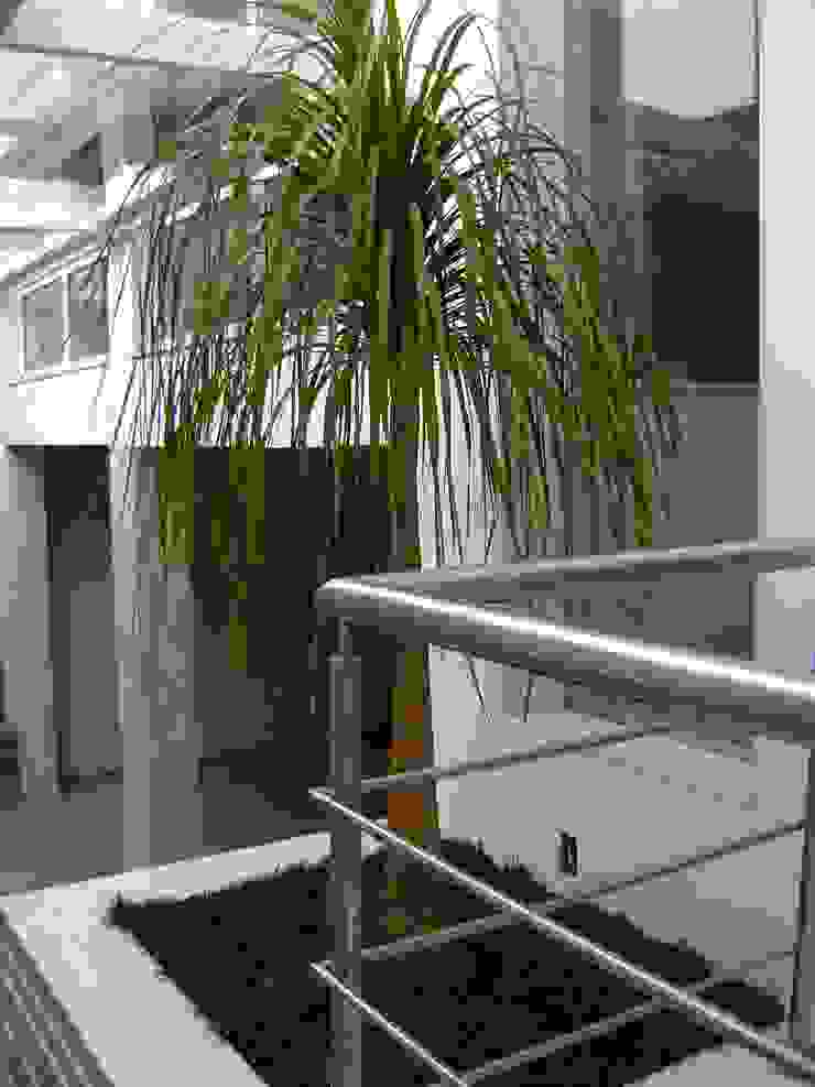 PAISAGISMO: JARDINS BY MC3, MC3 Arquitetura . Paisagismo . Interiores MC3 Arquitetura . Paisagismo . Interiores Minimalist style garden