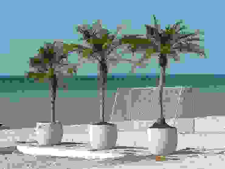 EcoEntorno Paisajismo Urbano JardínJarrones y macetas Caliza Blanco