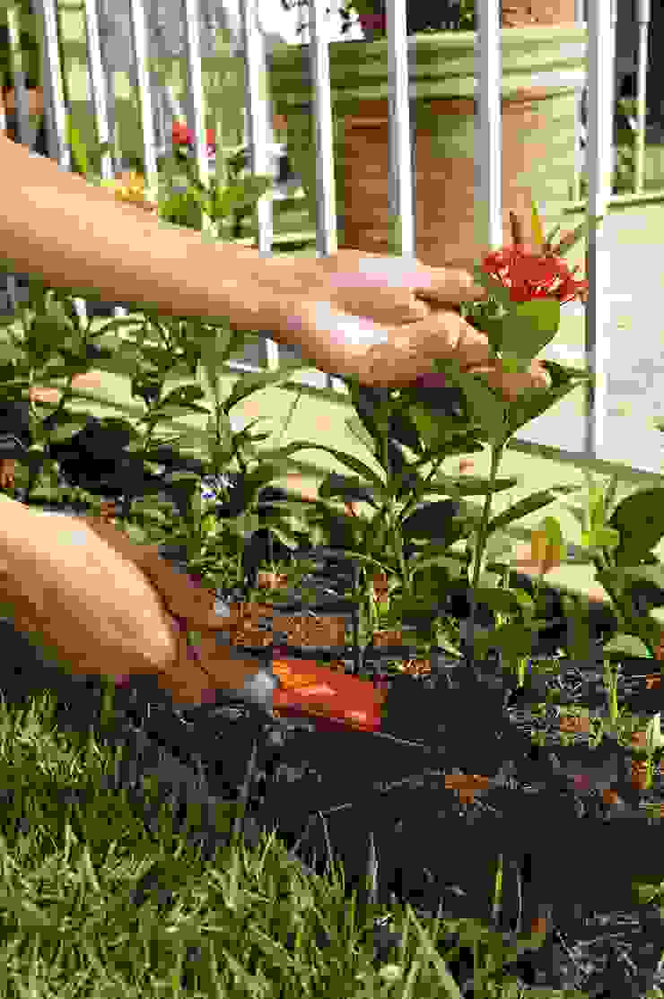 Manutenção e nutrição de jardim residencial, Ecojardim Ecojardim トロピカルな 庭 植木＆花
